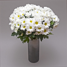 Buchet crizanteme albe