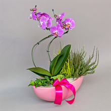 Surâsul florilor - aranjament cu orhidee și calluna